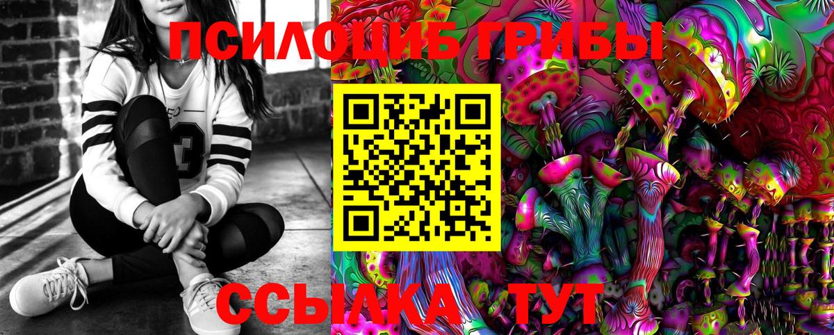 Ивантеевка  Псилоцибиновые грибы мицелий  Вход с VPN 